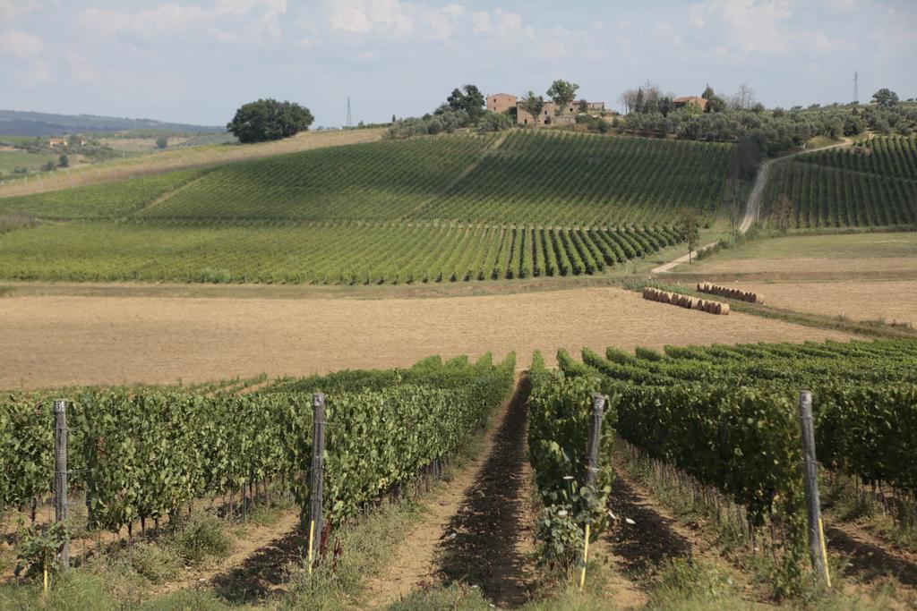 Agriturismo Spazzavento 빈치 외부 사진